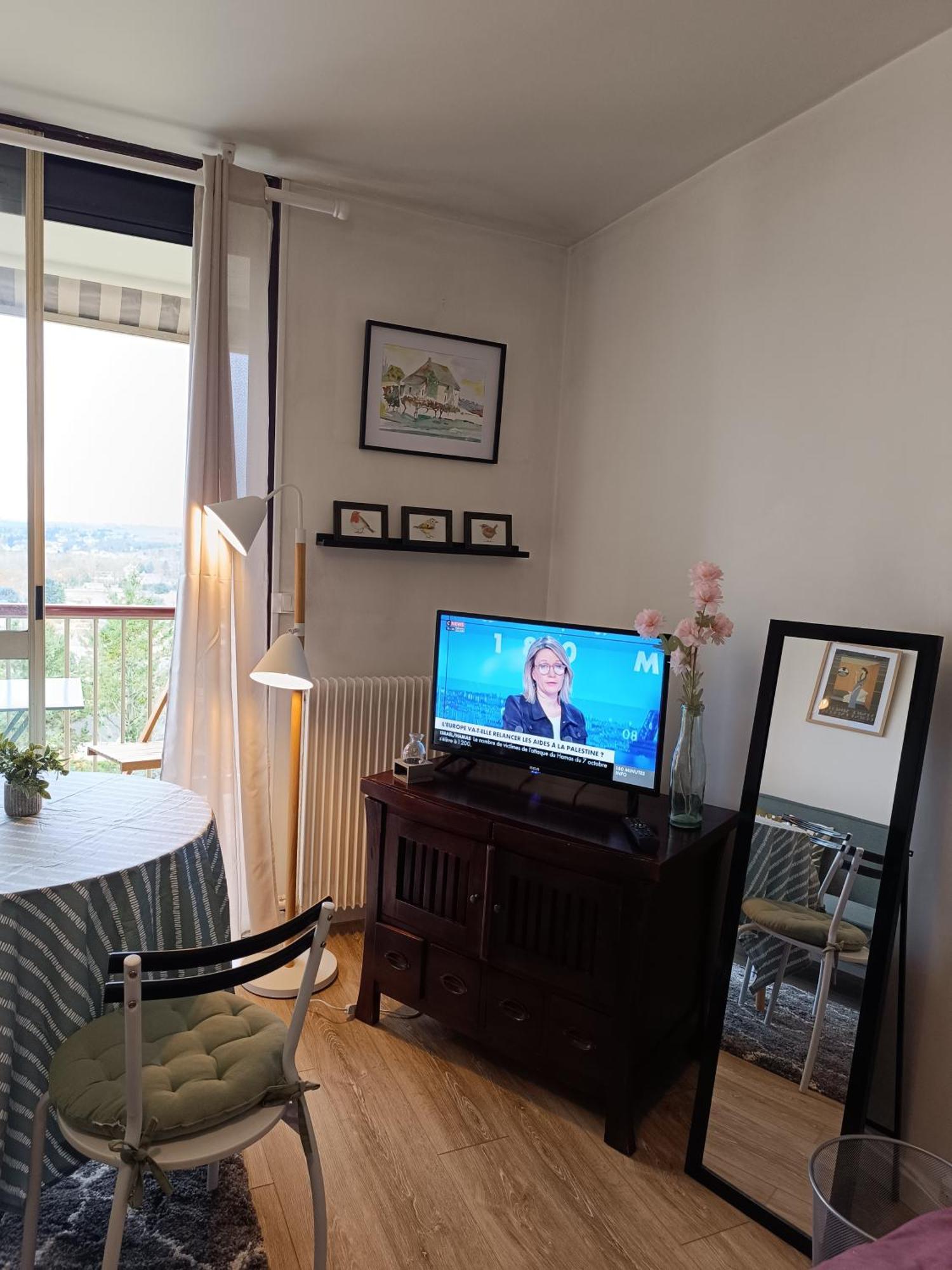Apartment Les-hauts-de-montrichard-nid Douillet ! Montrichard