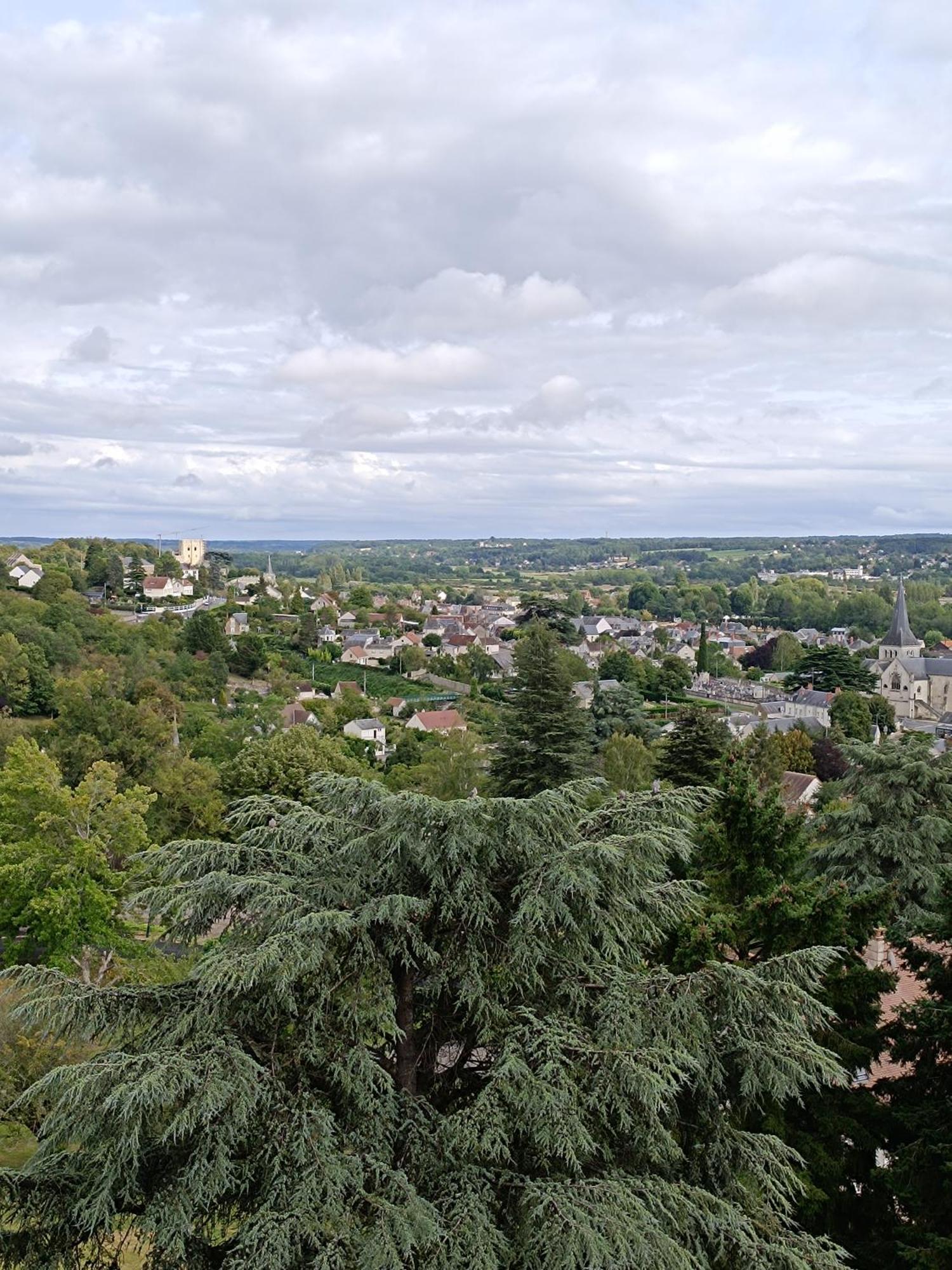 Les-hauts-de-montrichard-nid Douillet !